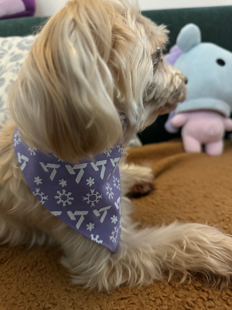 Seventeen Holiday Winter Pet Bandana