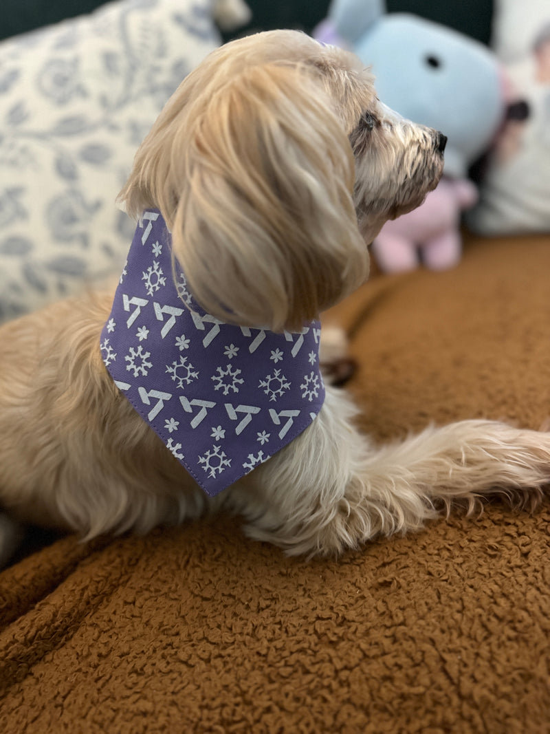 Seventeen Holiday Winter Pet Bandana