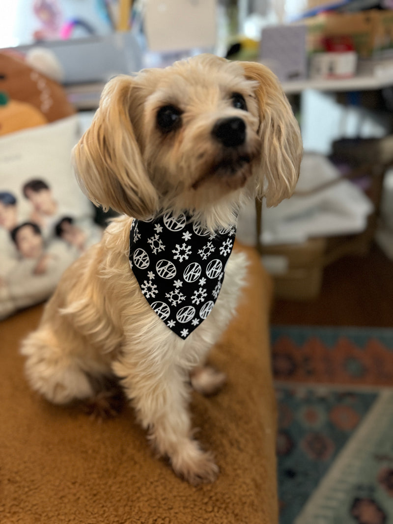 Stray Kids Winter Pet Bandana