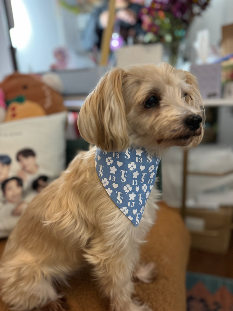 Taylor Swift Lucky 13 Pet Bandana