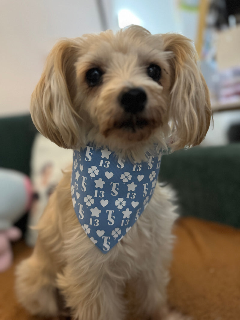 Taylor Swift Lucky 13 Pet Bandana