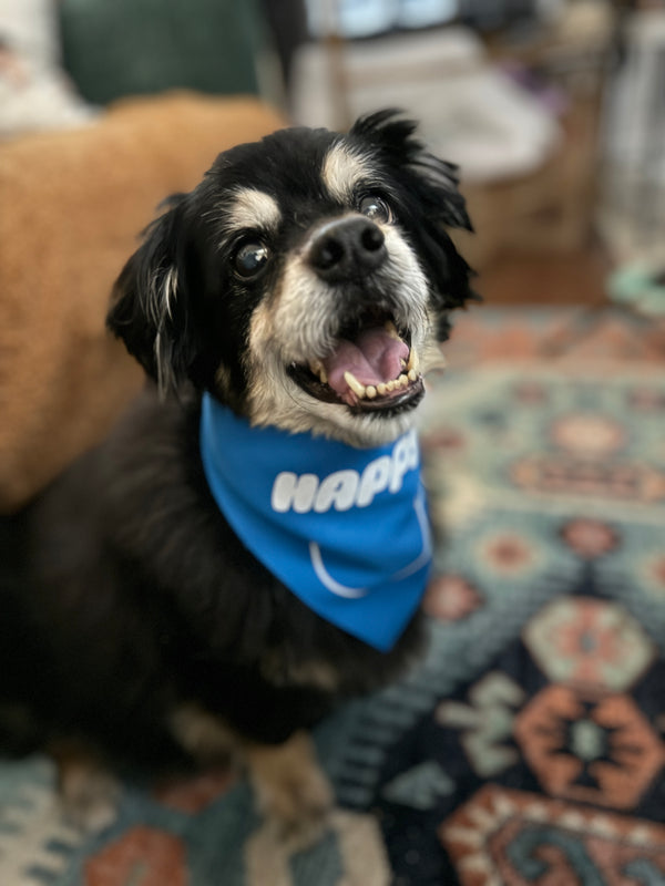 Jin Happy Pet Bandana