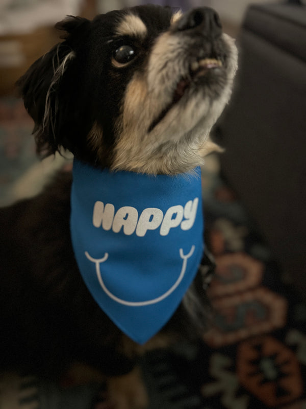 Jin Happy Pet Bandana