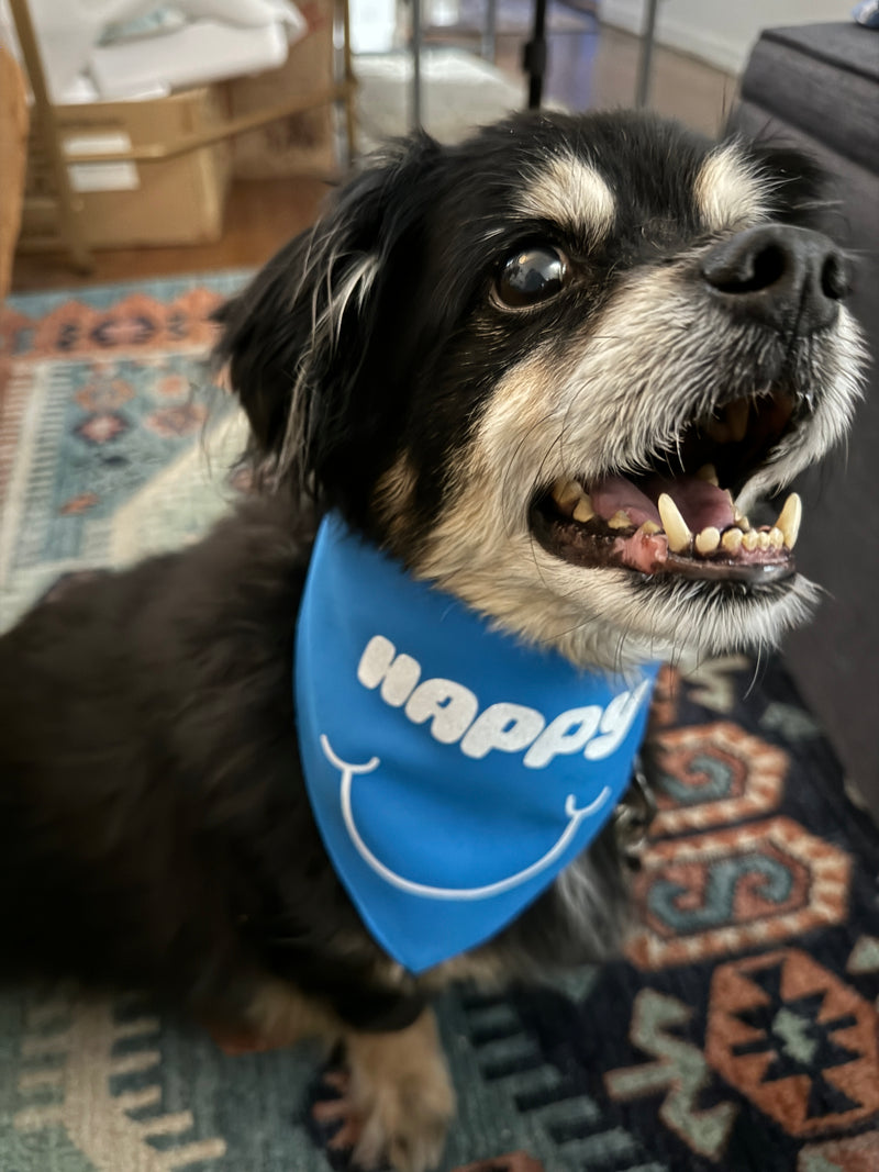 Jin Happy Pet Bandana