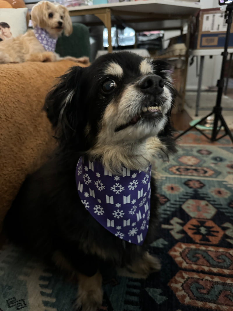 BTS Holiday Pet Bandana