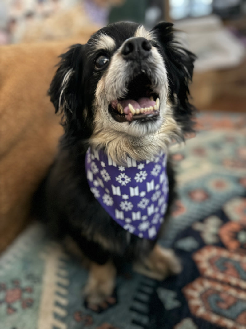 BTS Holiday Pet Bandana