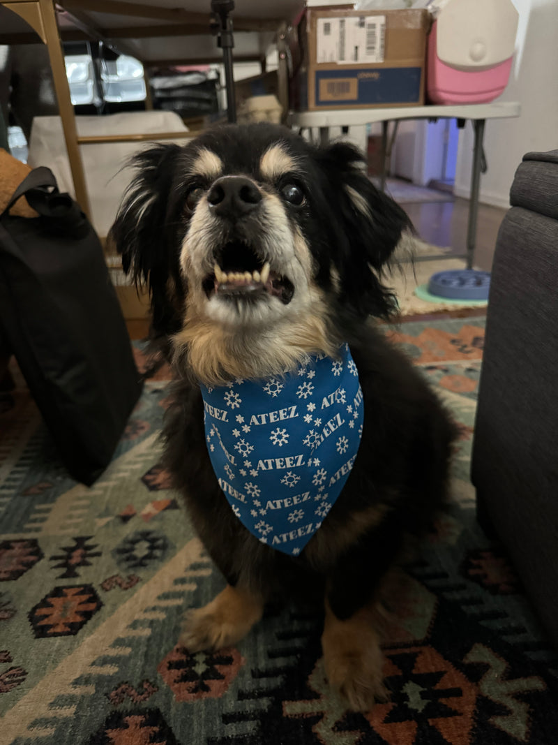 Ateez Holiday Pet Bandana