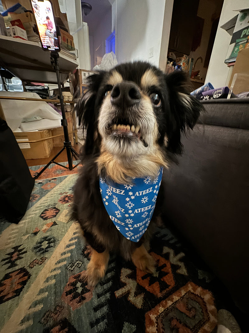 Ateez Holiday Pet Bandana