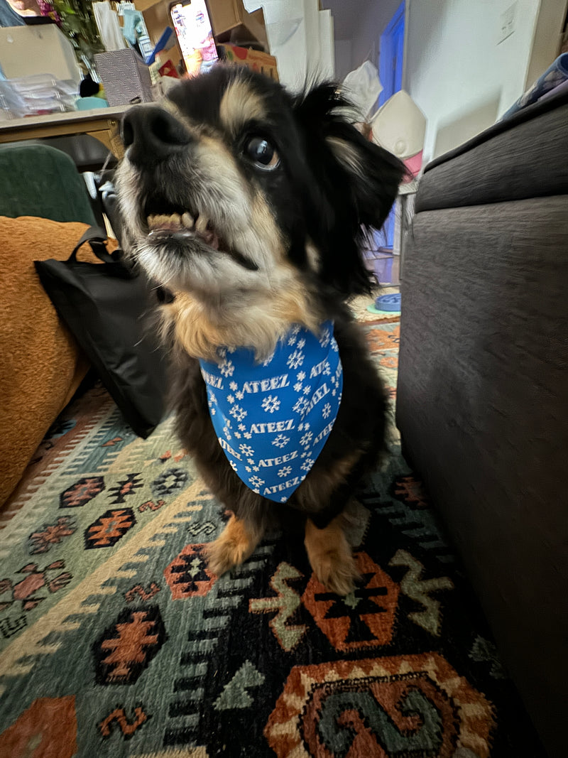 Ateez Holiday Pet Bandana