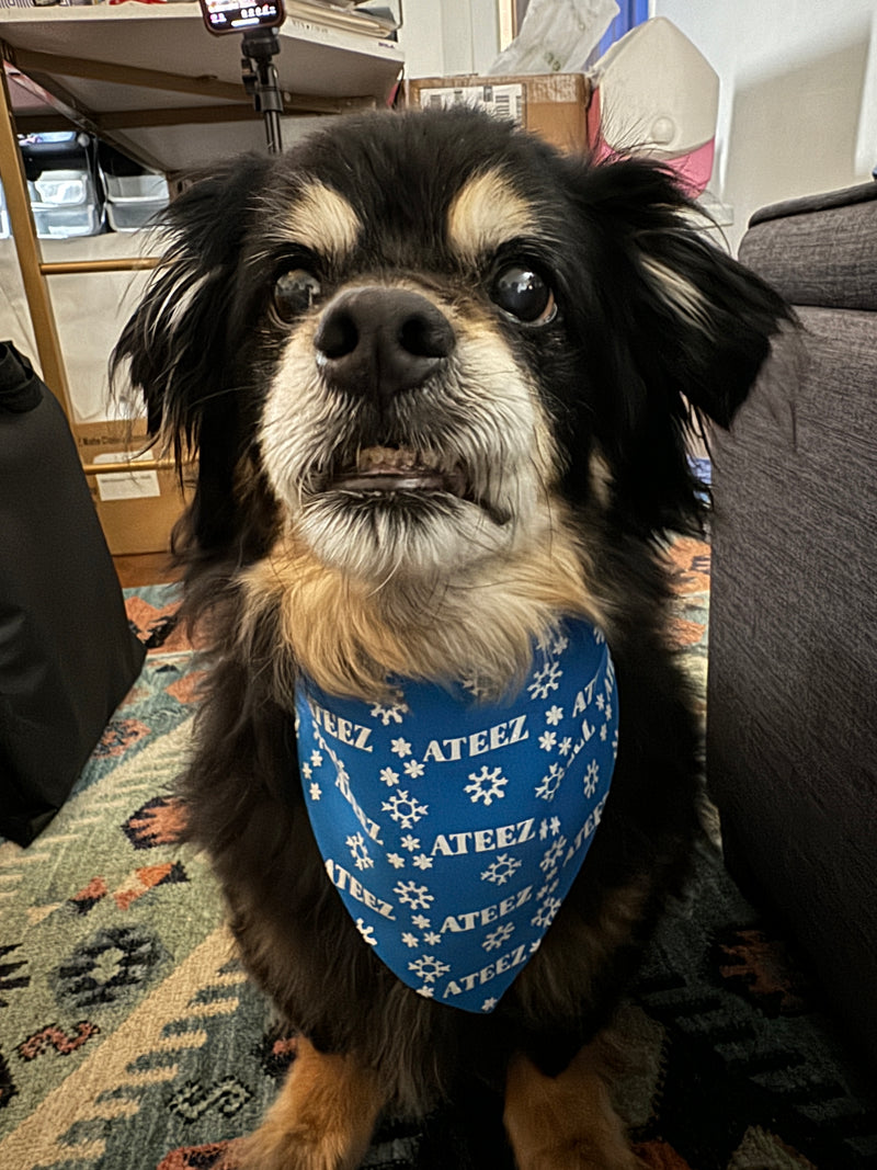 Ateez Holiday Pet Bandana