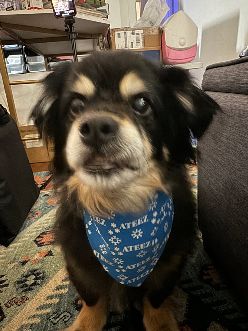 Ateez Holiday Pet Bandana