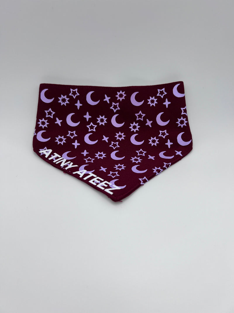 Atiny Ateez Pet Bandana