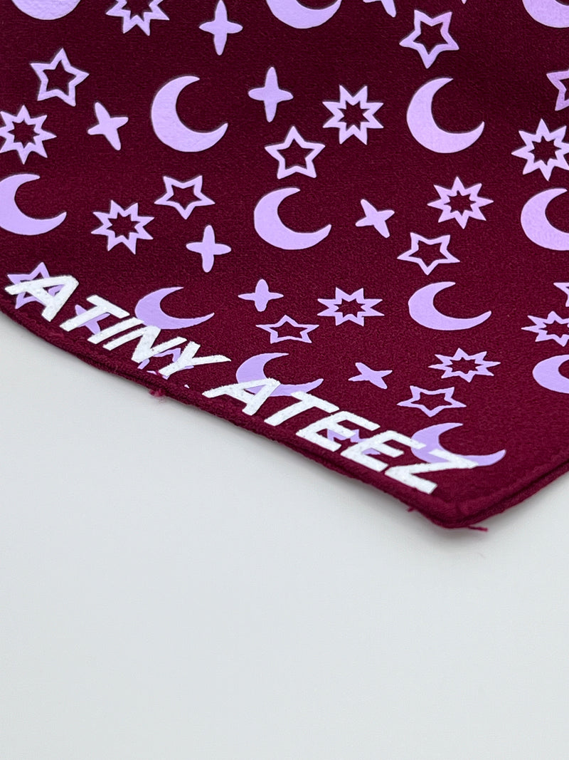 Atiny Ateez Pet Bandana