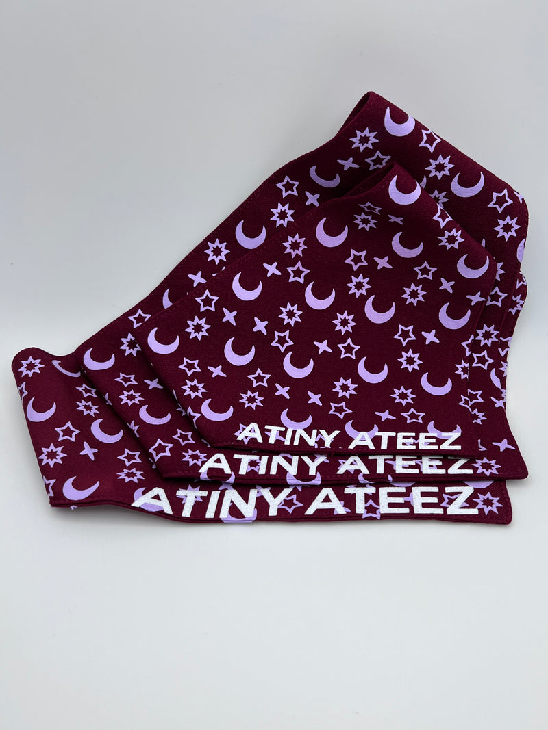 Atiny Ateez Pet Bandana