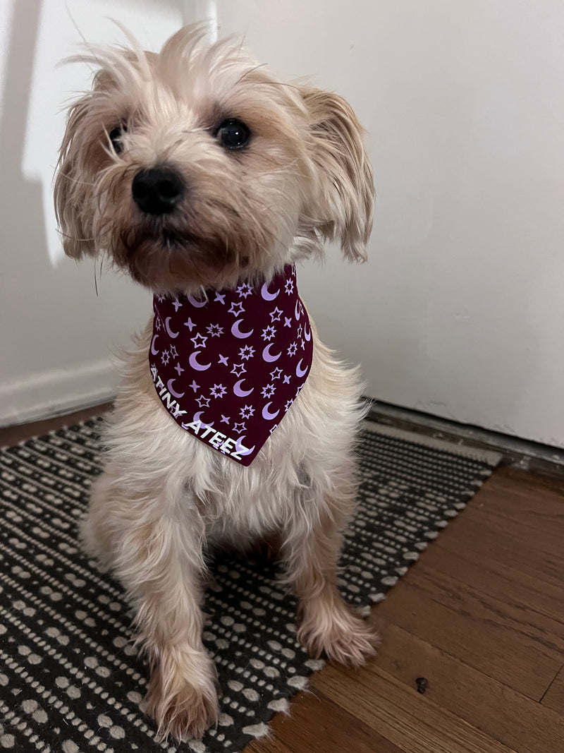 Atiny Ateez Pet Bandana