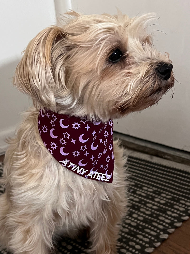 Atiny Ateez Pet Bandana