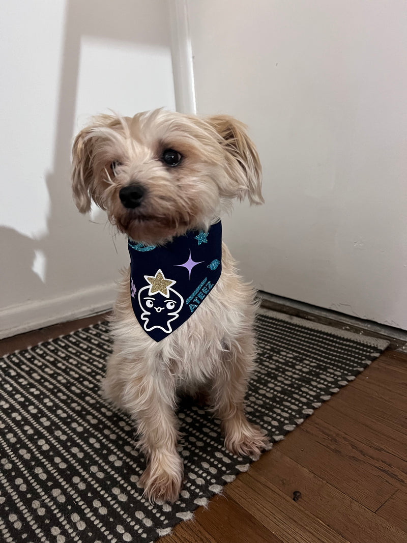 TEEZ-MON Pet Bandana