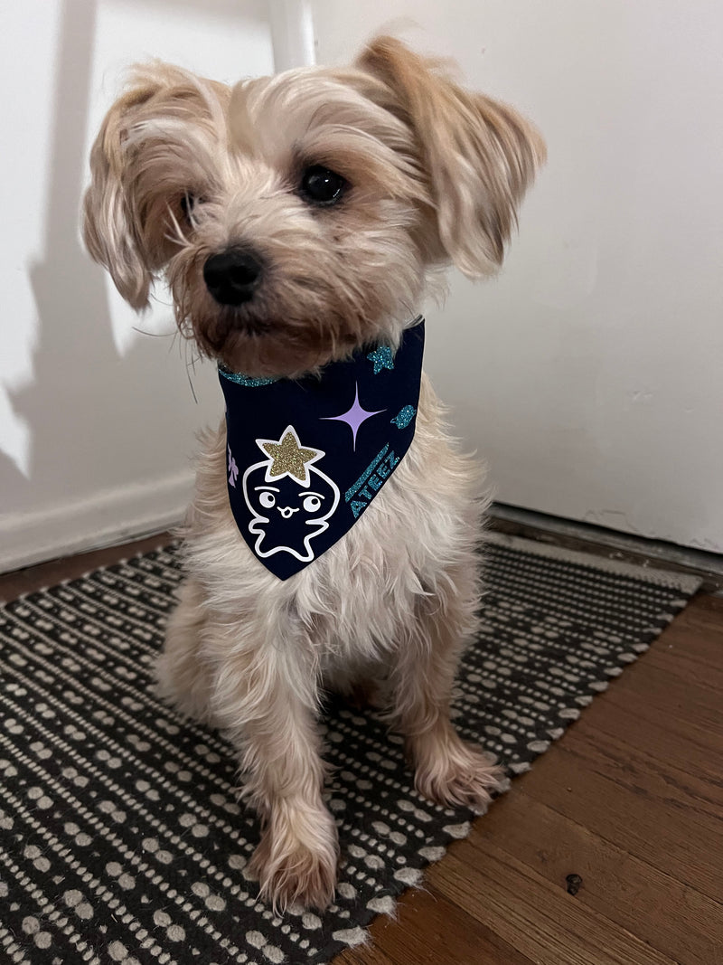 TEEZ-MON Pet Bandana