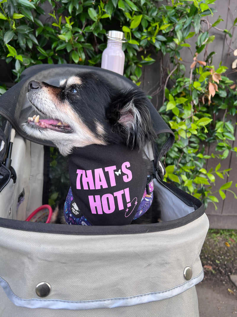 That's Hot Pet Bandana