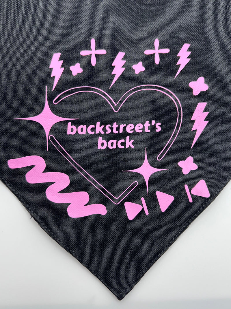 Backstreet Boys Pet Bandana