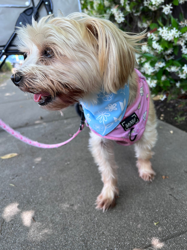 Serendipity Pet Bandana