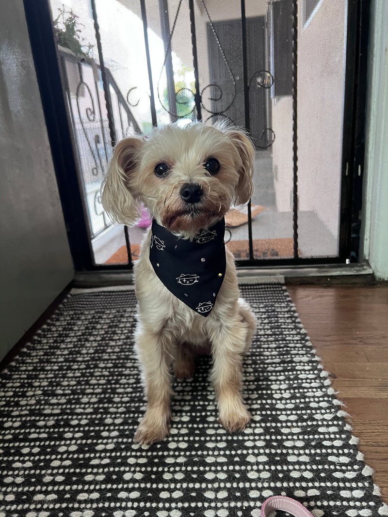 Daechwicat Agust D Pet Bandana