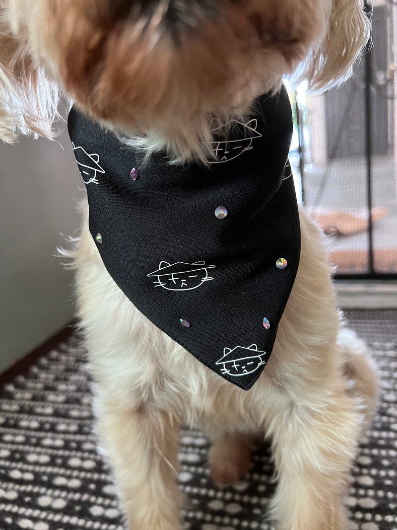 Daechwicat Agust D Pet Bandana