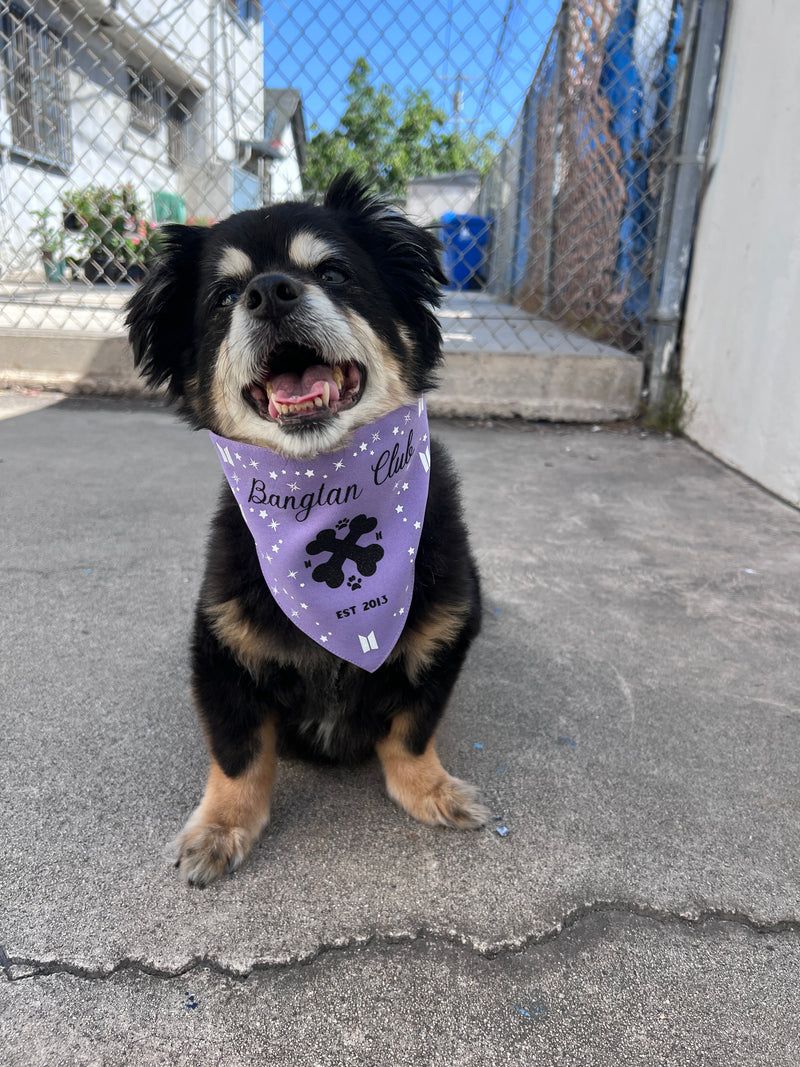 Bangtan Club Pet Bandana