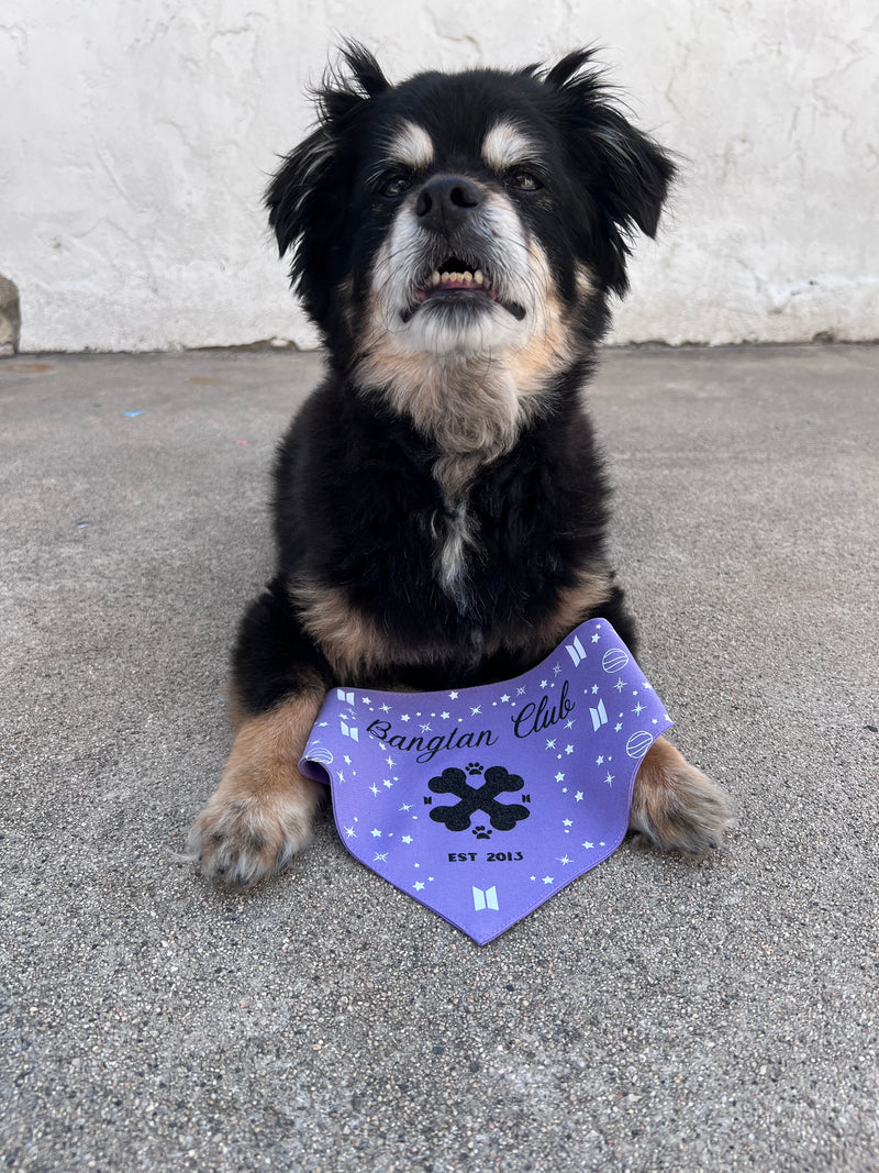 Bangtan Club Pet Bandana