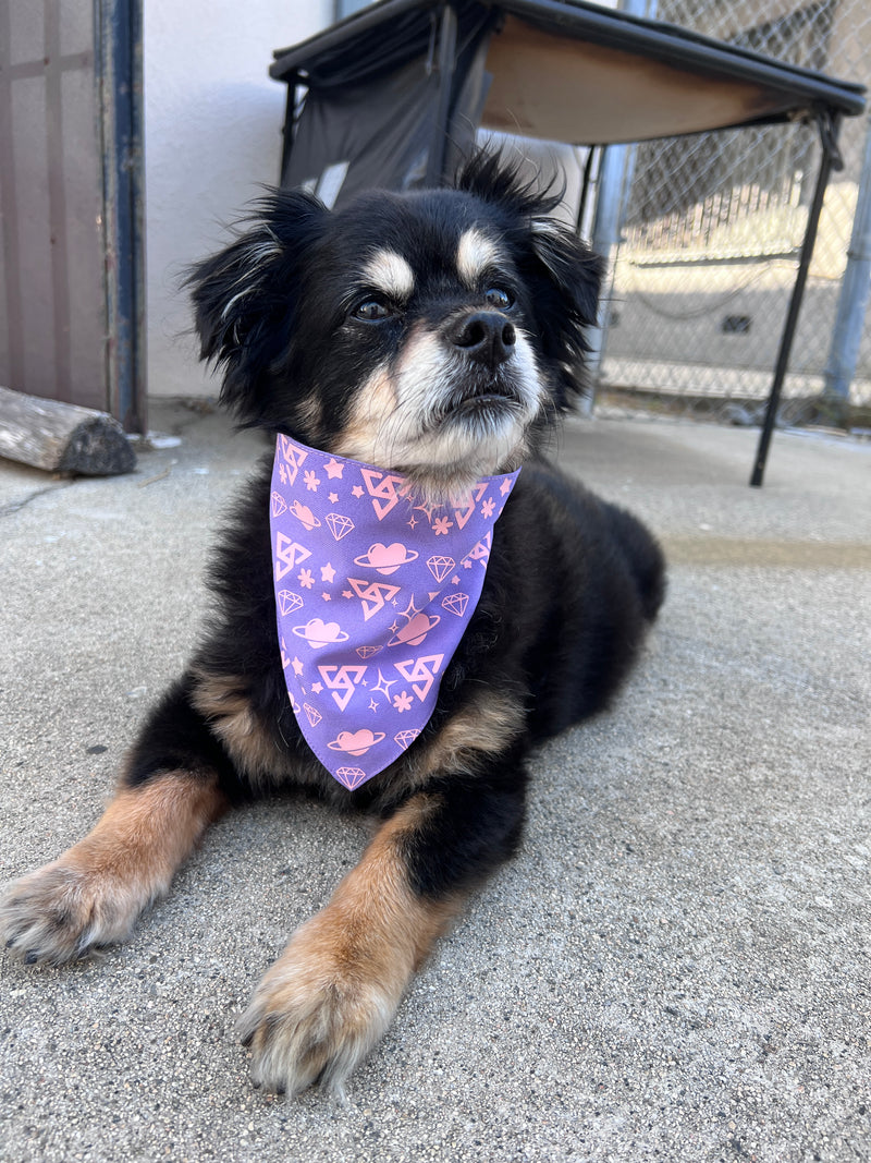 Seventeen Pet Bandana