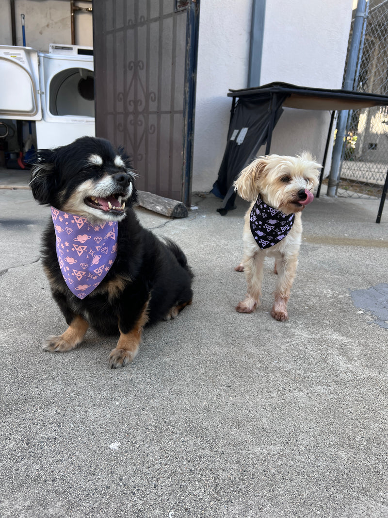 Seventeen Pet Bandana