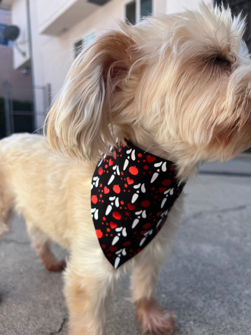 Scream Ghost Face Cute Pet Bandana