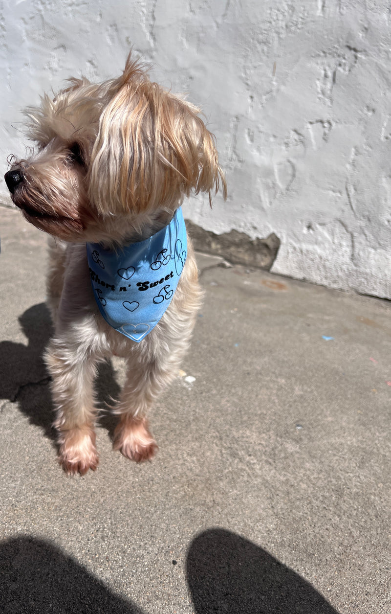 Sabrina Carpenter Sweet n' Short Tour Pet Bandana