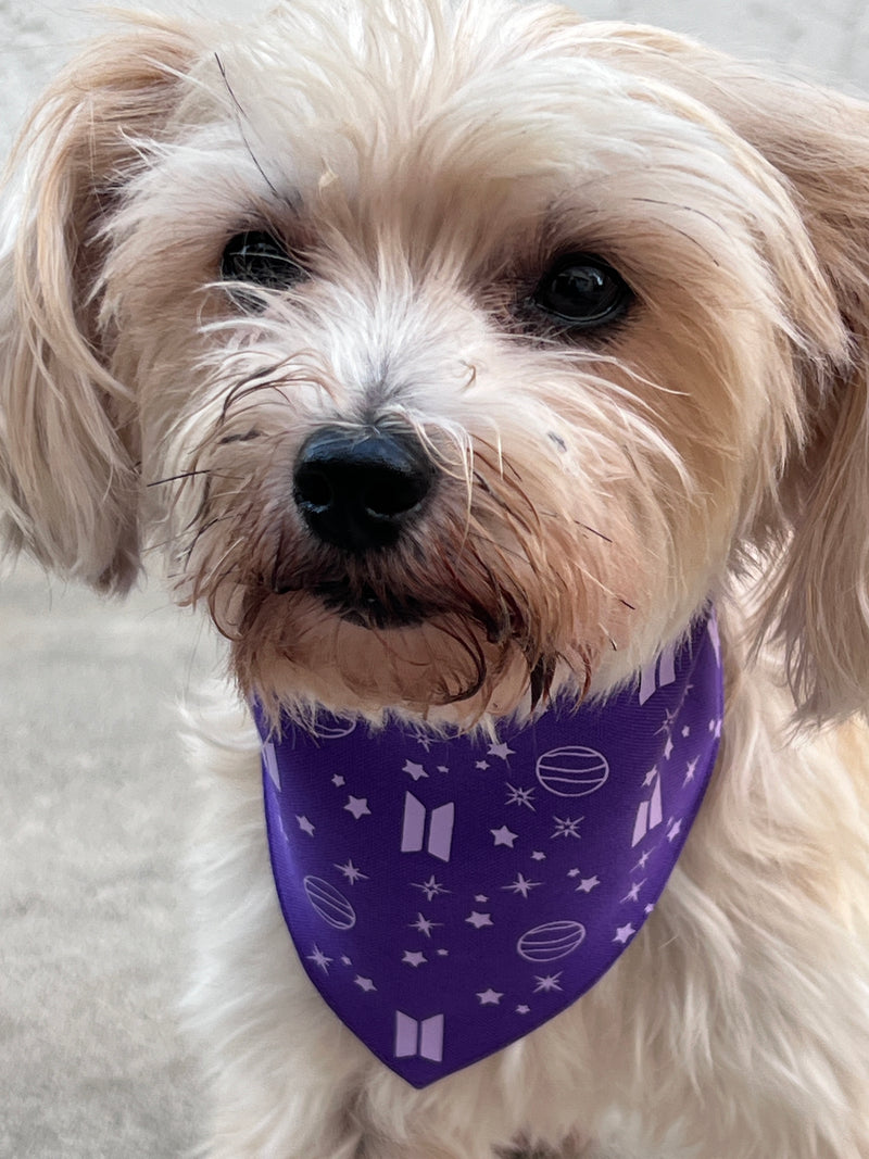 Mikrokosmos Purple Lavender Pet Bandana