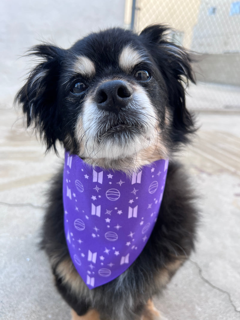 Mikrokosmos Purple Lavender Pet Bandana