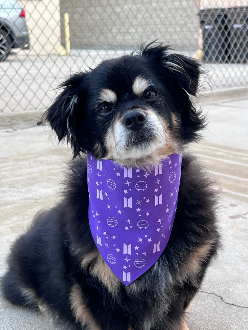 Mikrokosmos Purple Lavender Pet Bandana