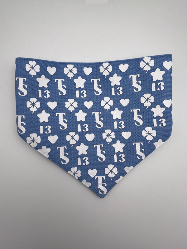 Taylor Swift Lucky 13 Pet Bandana