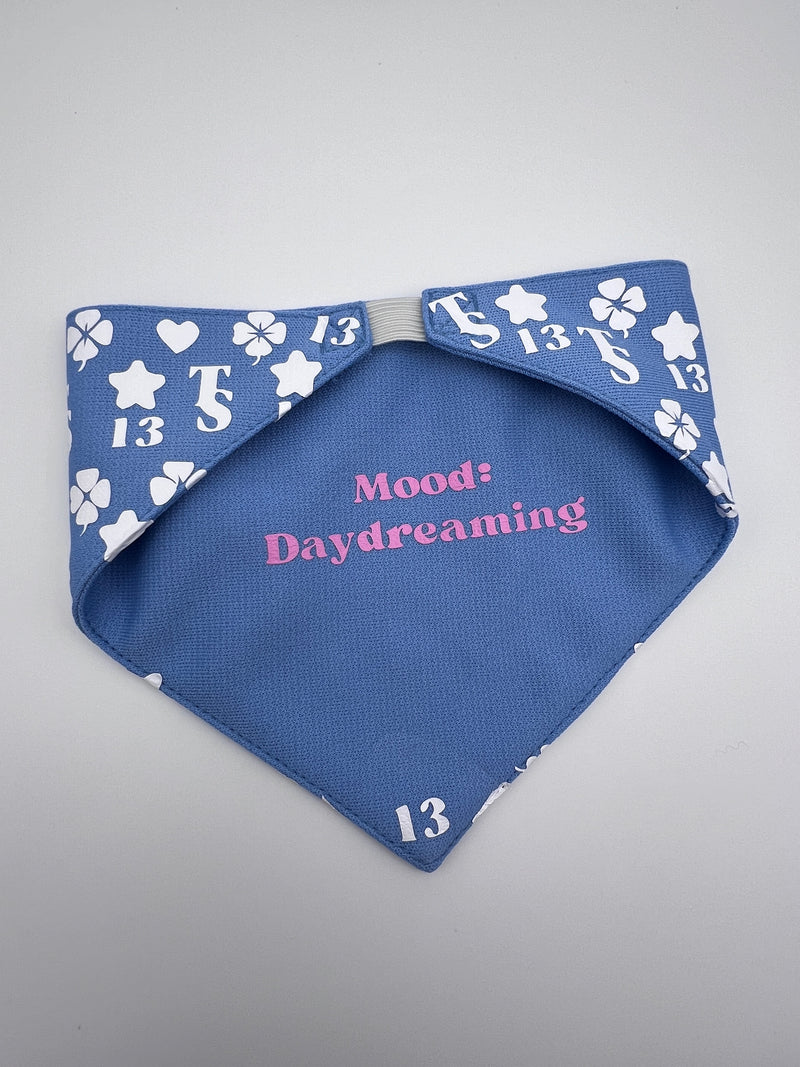 Taylor Swift Lucky 13 Pet Bandana