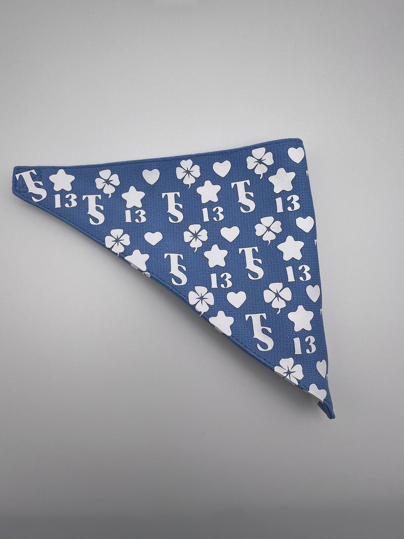 Taylor Swift Lucky 13 Pet Bandana