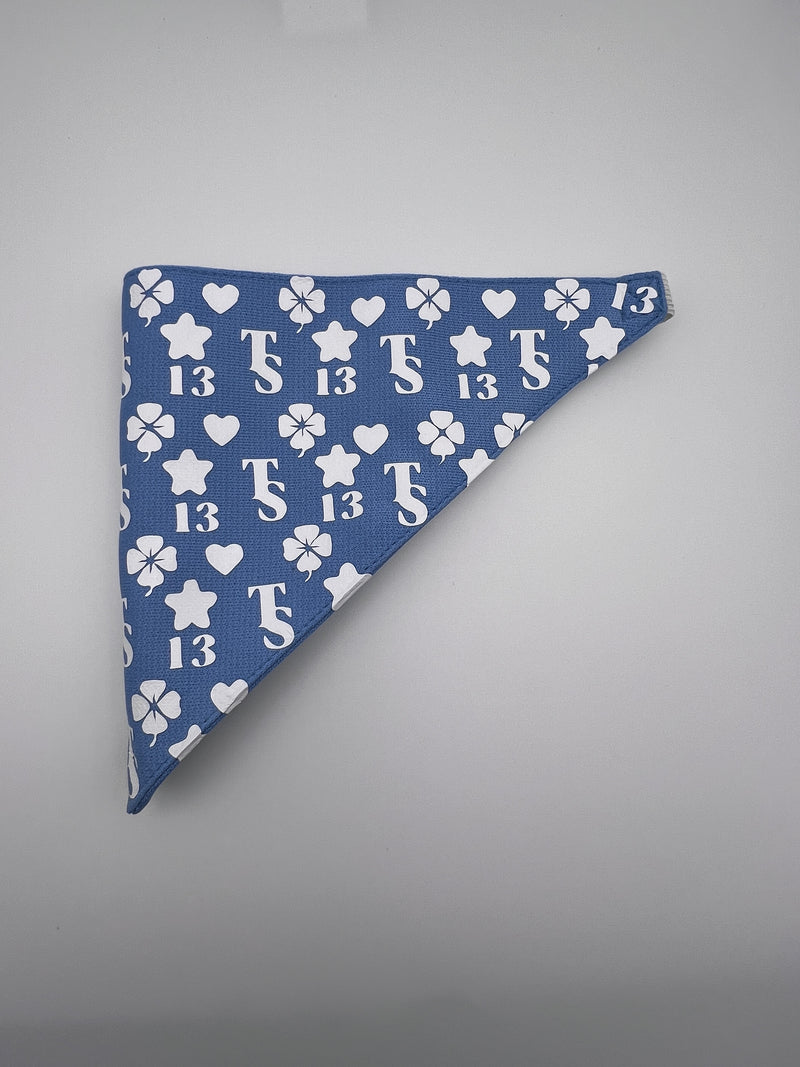 Taylor Swift Lucky 13 Pet Bandana