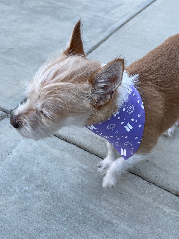 BTS Mikrokosmos Tie-On Hair Bandana - match with your Pet!