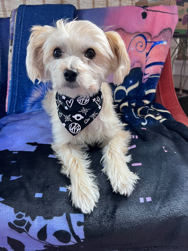 Stray Kids Heart and Star Pet Bandana