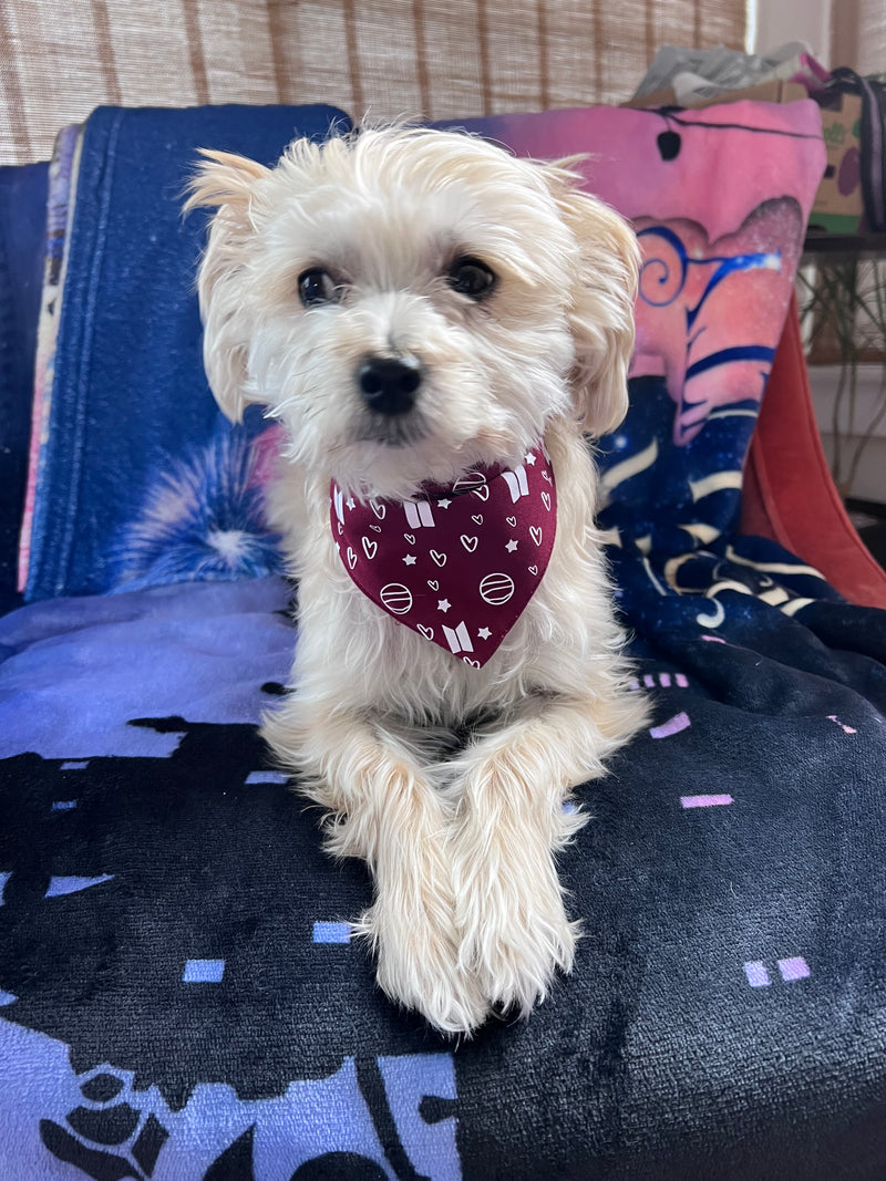 BTS Mikrokosmos Inspired Pet Bandana with hearts and Saturn