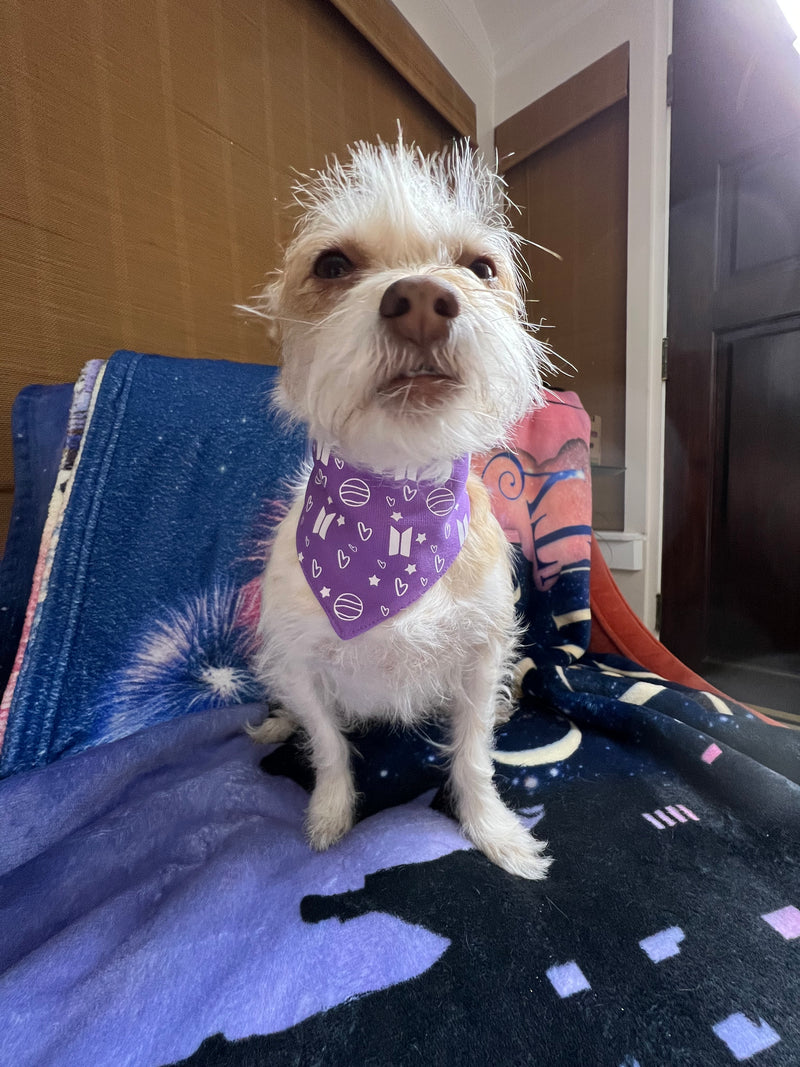 BTS Mikrokosmos Inspired Pet Bandana with hearts and Saturn