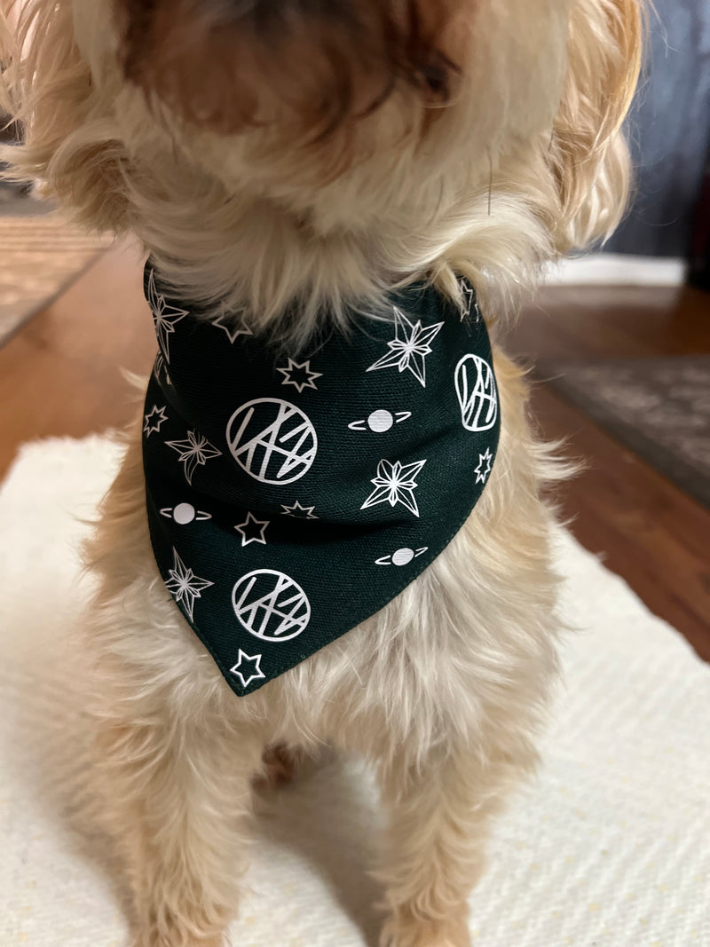 Stray Kids Takeover Pet Bandana