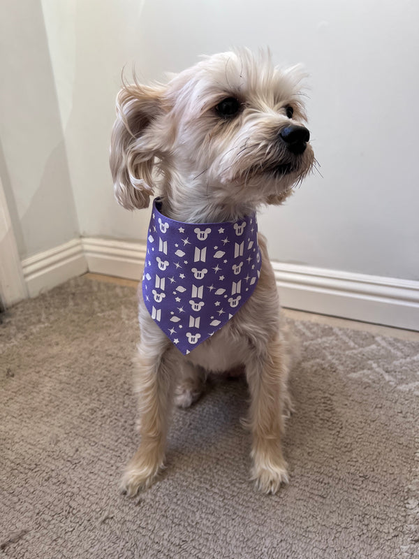 BTS x Disney Pet Bandana