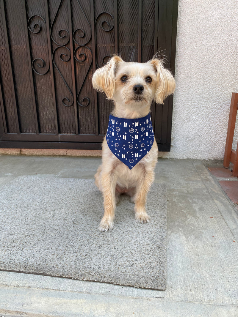 Mikrokosmos Pet Bandana