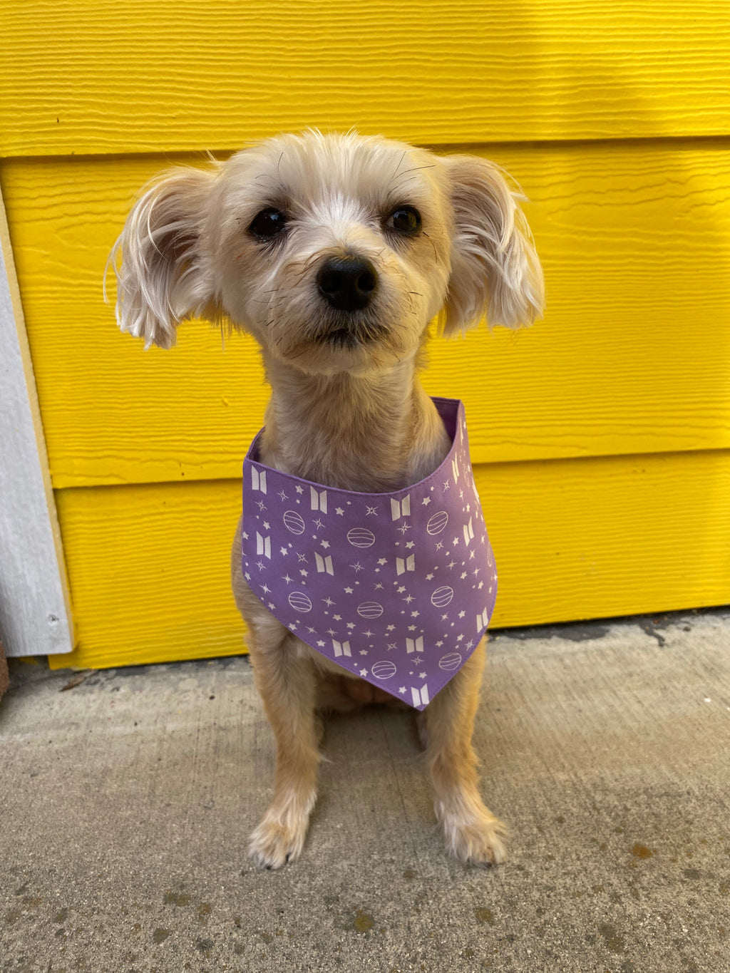 Emo Girl Emotional Pet Bandana by mooon85