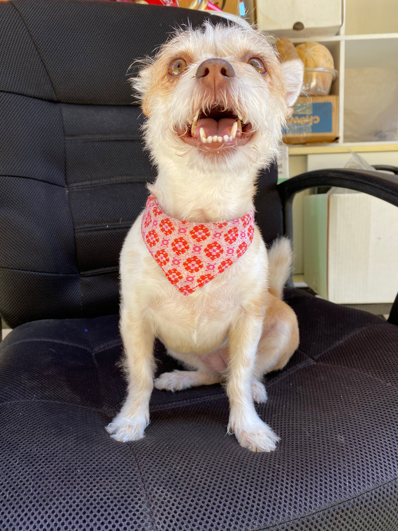 ARMY Red Flowers Pet Bandana