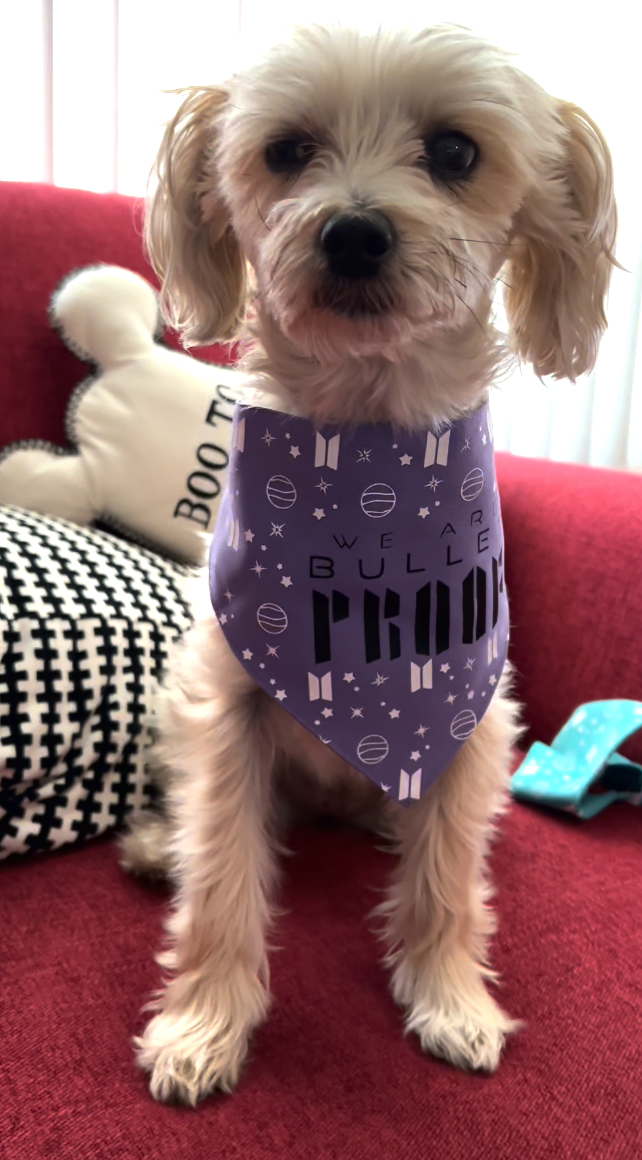 We Are Bulletproof Pet Bandana